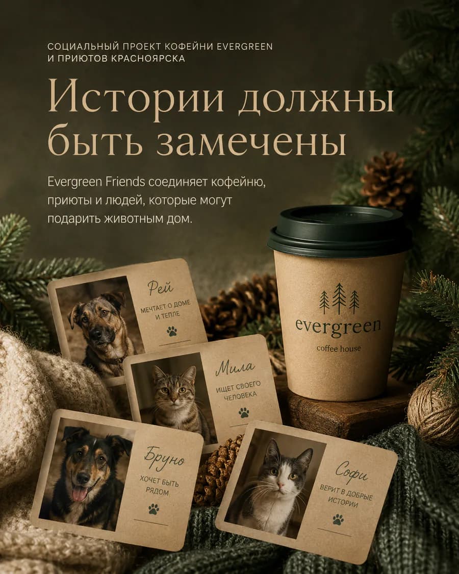 Истории должны быть замечены